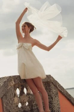 Cort Dress - Ivory -Sachin and Babi US SB CAMERARAW0644 Edit 2